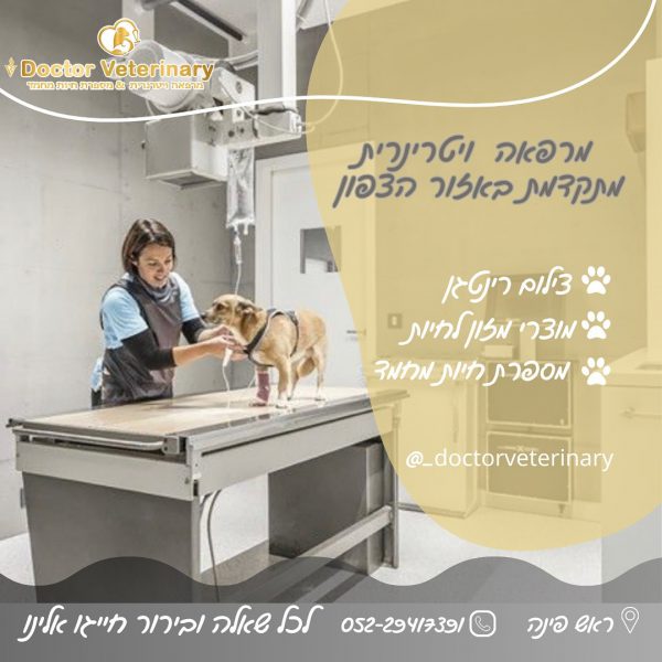 תמונה של WhatsApp‏ 2025-03-11 בשעה 08.22.35_c330c9df